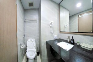 Ein modernes Badezimmer mit Toilette, einer Duschkabine aus Glas, einem Waschbecken mit Spiegel und einem an der Wand montierten Föhn.