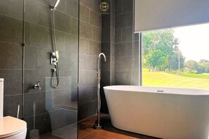 Une salle de bain moderne avec une baignoire sur pieds, une douche et des toilettes.