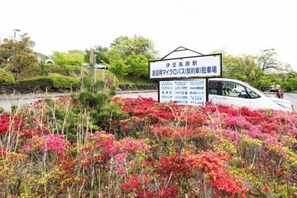 Khuôn viên nơi lưu trú