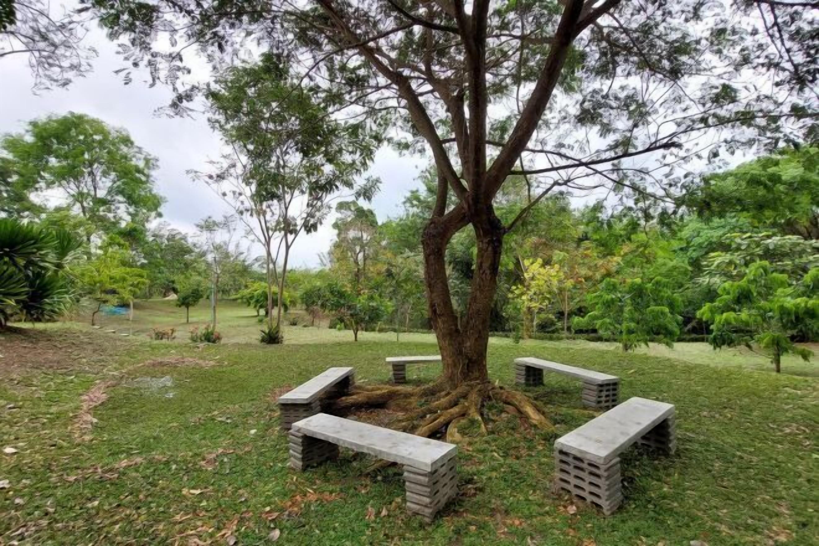 Khuôn viên nơi lưu trú