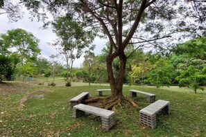 Unclassified image, 2 of 5, button - Raiyaa Farmstay (Kaeng Krachan)