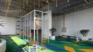 A spacious indoor area with a colorful floor, a central white structure, and hanging lights. - Shahdila @ Alinea (Shah Alam)