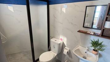 A bathroom with a toilet, sink, and a mirror.