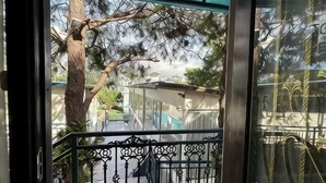 A balcony with a metal railing, a tree, and a building in the background. - Brilliantsky Liesure Park and Hotel (Tagaytay)