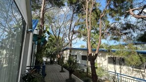 A pathway lined with trees and a building with a blue roof. - Brilliantsky Liesure Park and Hotel (Tagaytay)