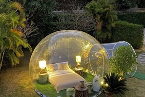 Tuin