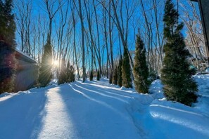 A snow-covered path flanked by trees and a building, with sunlight filtering through. - [TV] Luxury adult secret base villa 120 ㎡ Sauna, stone bath, bonfire, BBQ [Zen Building] (Miyota)
