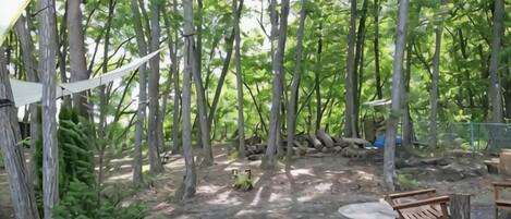 Ein bewaldetes Gebiet mit einer hölzernen Bank und einem Picknicktisch.