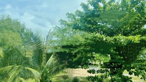 A lush green landscape with dense foliage and a clear sky. - DeliZia de Villa Homestay Satun (Satun)