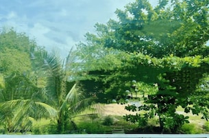 Vista desde la propiedad