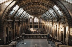 Interior - South Kensington - Cromwell Rd Residence (London)
