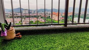 Vista a través de una ventana con barandilla, suelo de césped artificial verde y una maceta con un cactus.
