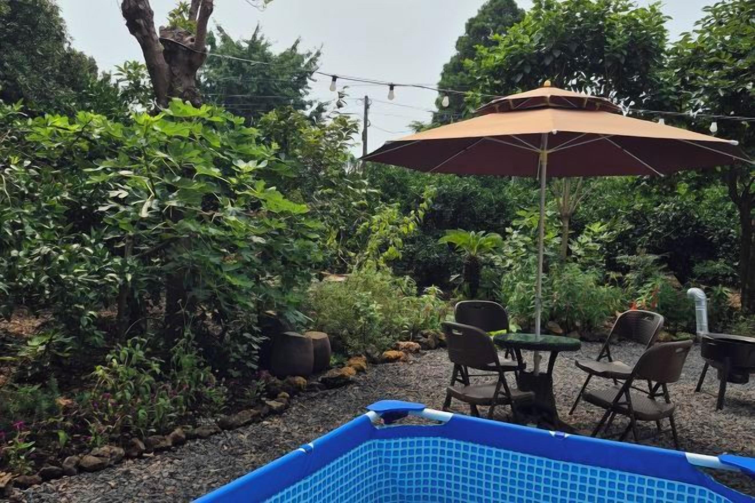 A pool with a blue interior, surrounded by a garden with various plants and a table with chairs.