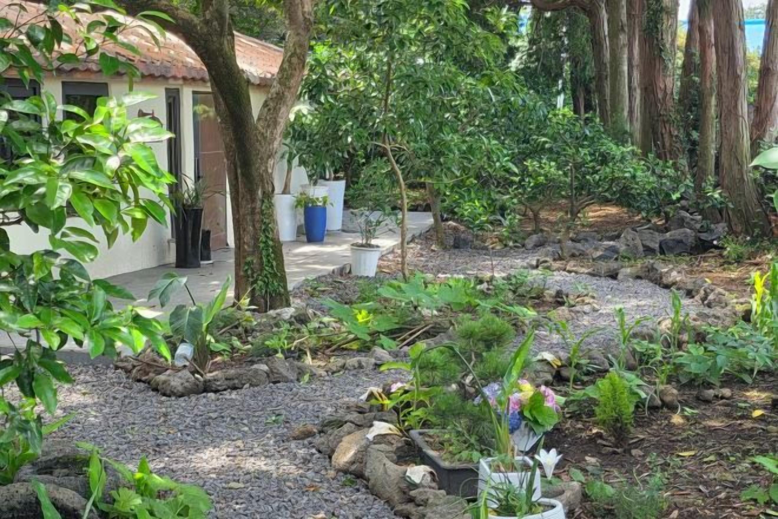 A garden with a variety of plants, a pathway, and a building with a tiled roof.