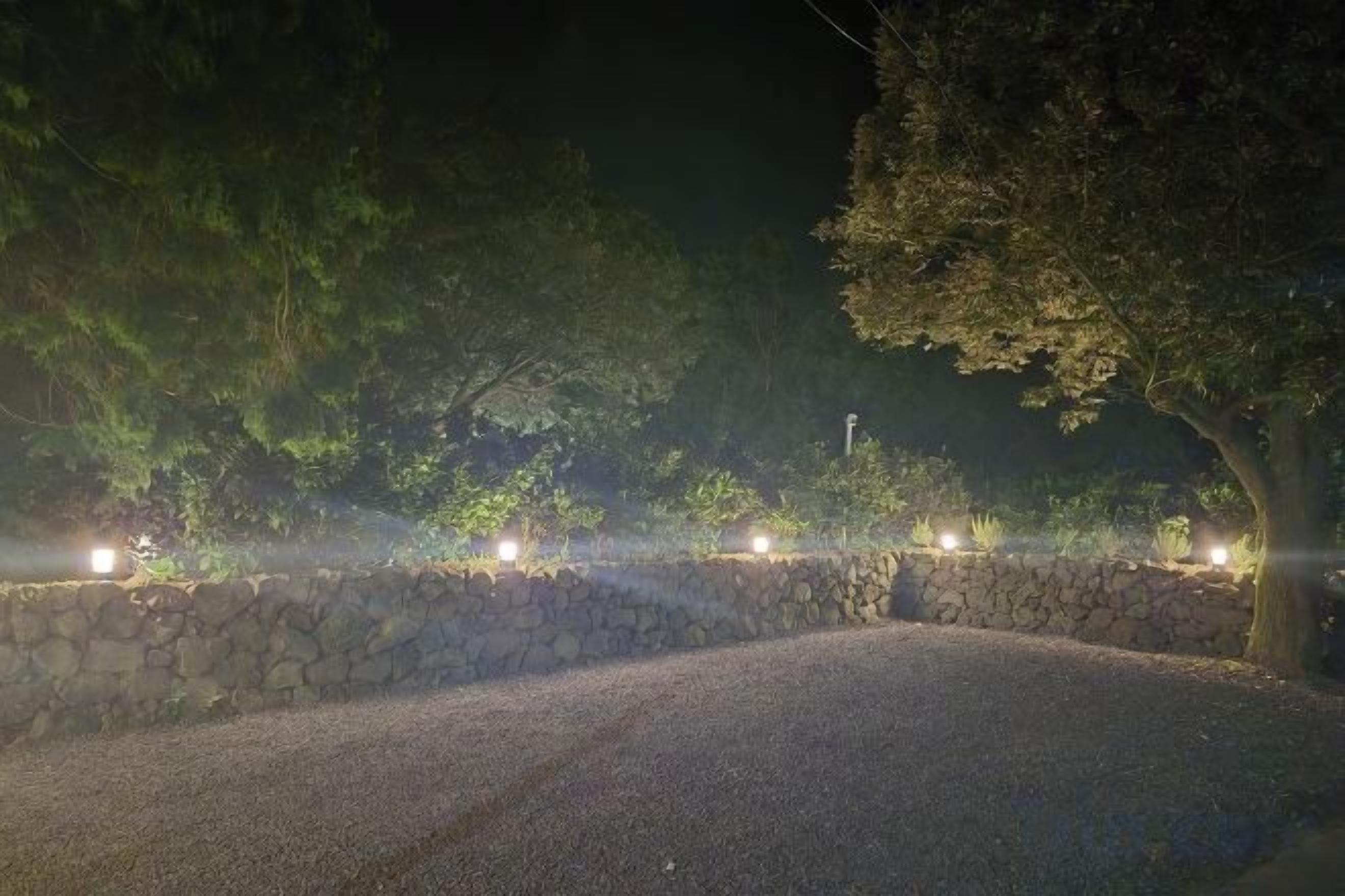 A paved pathway flanked by a stone wall and trees, with lights along the wall.