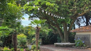 A garden pathway with string lights, surrounded by trees and plants.