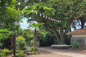 Un sendero en un jardín con luces de cuerda, rodeado de árboles y plantas.