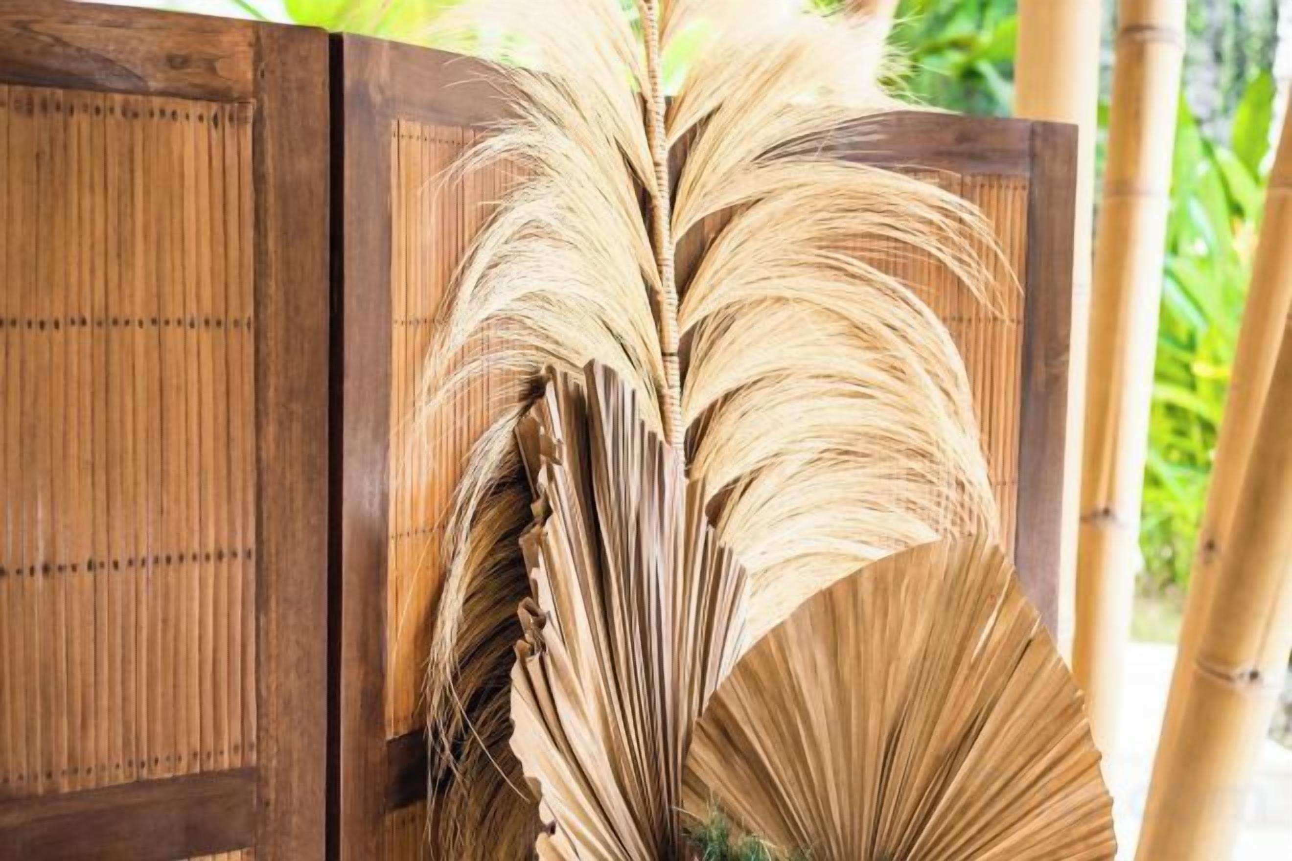 A bamboo fence with a large, dried plant in the foreground.