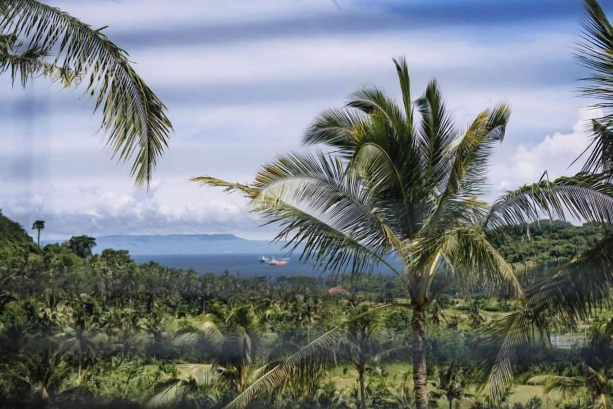 A tropical landscape with palm trees and a view of the ocean.