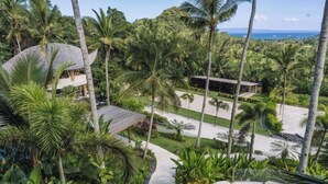 Un resort tropical con un camino curvo, palmeras y vista al océano.