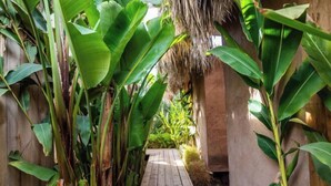 A wooden pathway flanked by large green banana leaves, leading to a thatched-roof structure. - The Source Hotel Music & Spa (Marrakech)