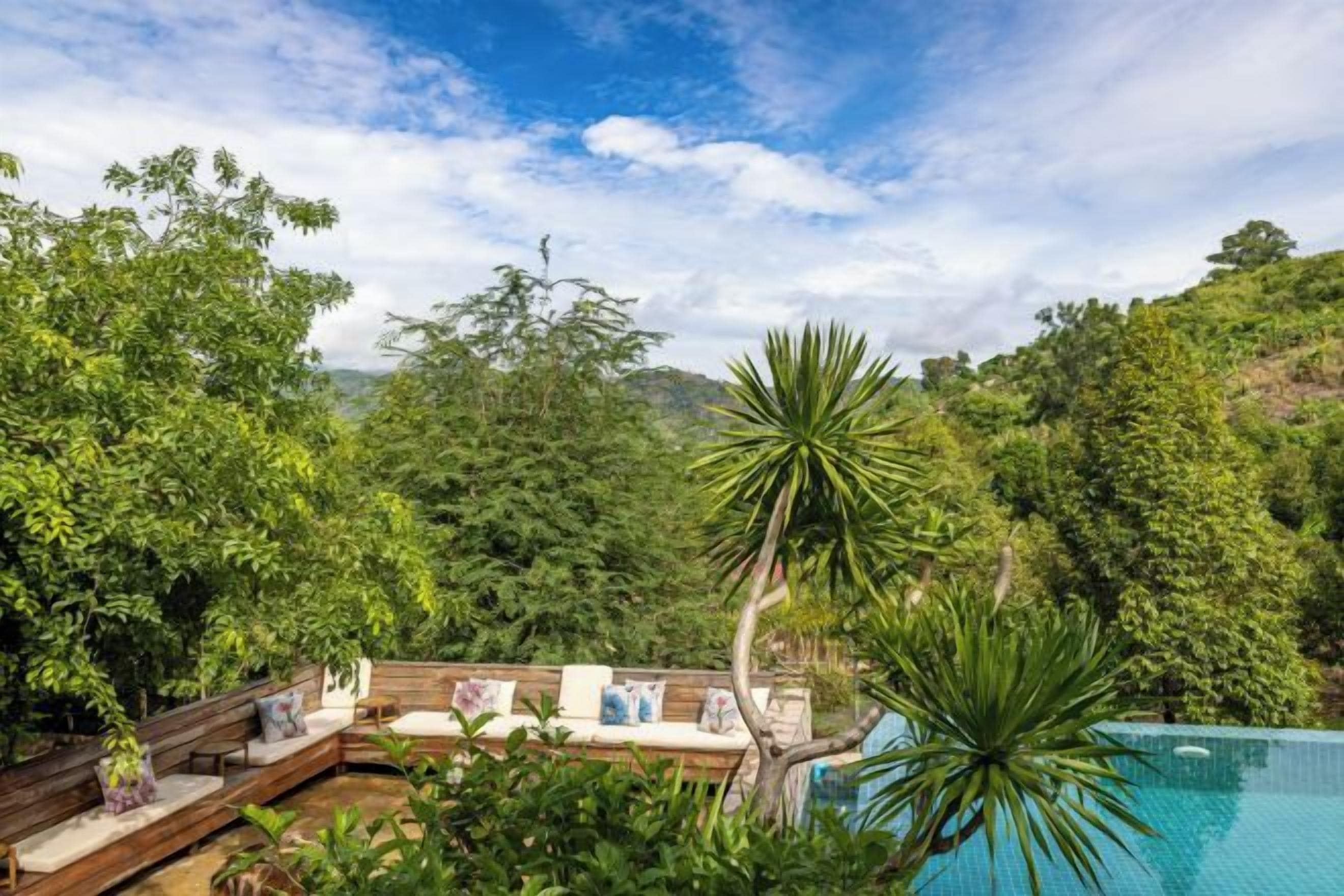 Ein Poolbereich mit Holzterrasse und Liegestühlen, umgeben von üppiger Vegetation und Bäumen.