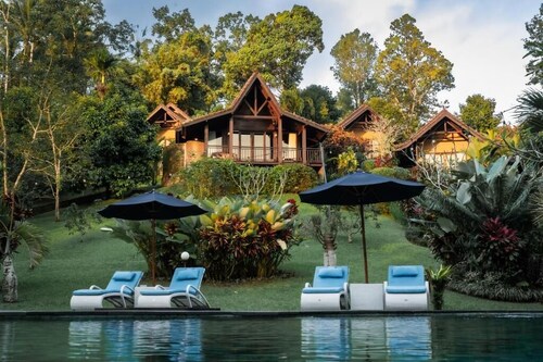 Bali Palms