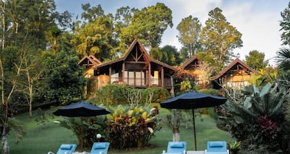 Bali Palms
