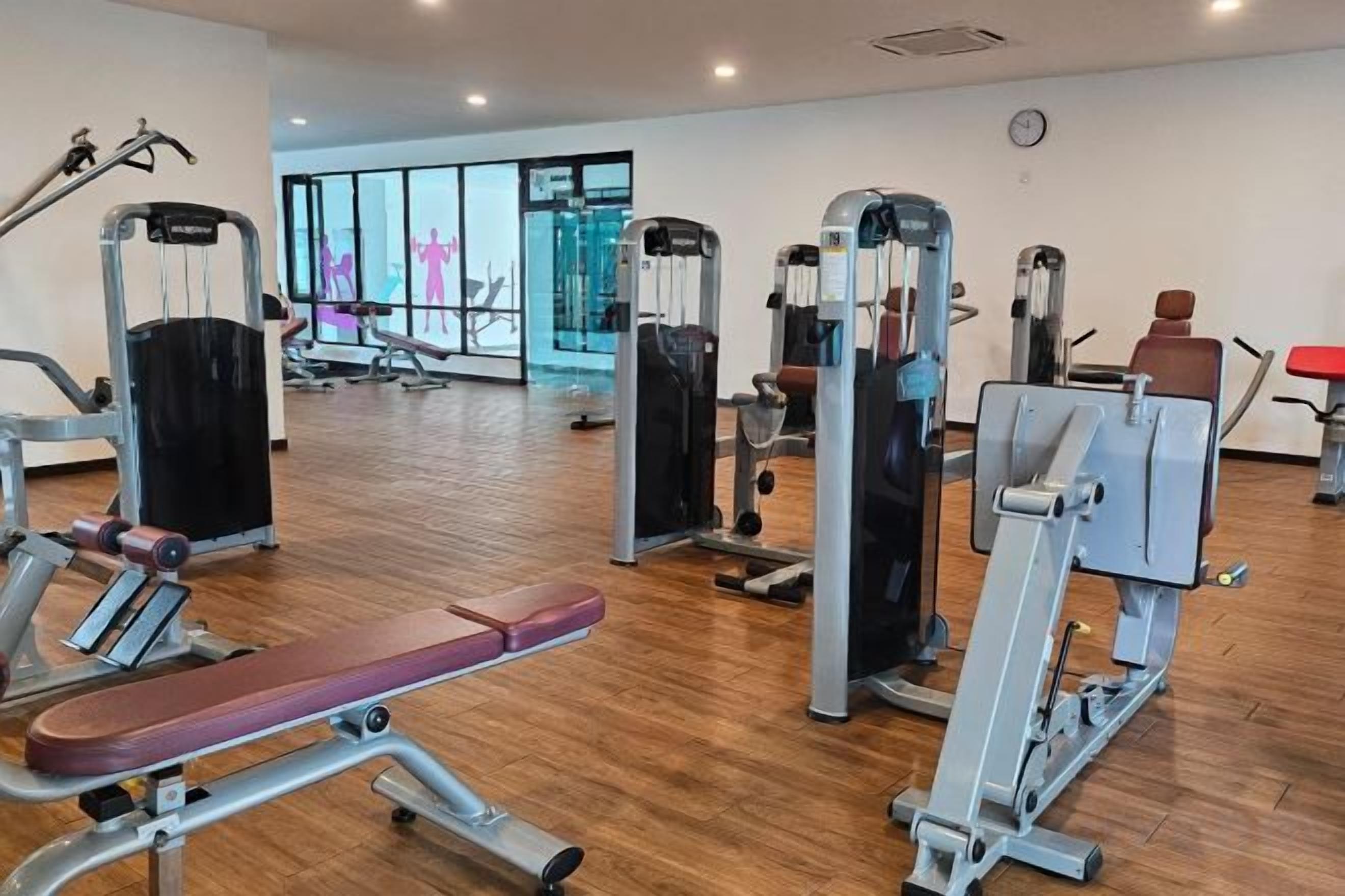 A gym with various exercise machines, a wooden floor, and large windows in the background.