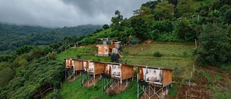 A series of wooden cabins elevated on stilts in a lush, green landscape.