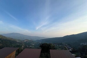 Unclassified image, 3 of 10, button - Mon Sa Kiang Dao (Mae Rim)