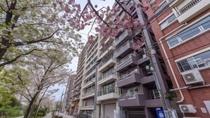 A multi-story residential building with balconies, a paved walkway, and a bicycle parked outside. - SkyTree View - CoCoHouse Asakusa (Tokyo)