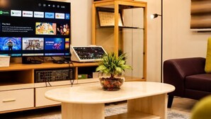 A modern living room with a flat-screen TV, a laptop, a potted plant, and a sofa.