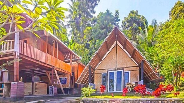 Una casa de madera con balcón, rodeada de exuberante follaje y plantas tropicales.