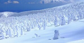 Miscellaneous - Hanaakarinoyado Tsukinoike (Kaminoyama)