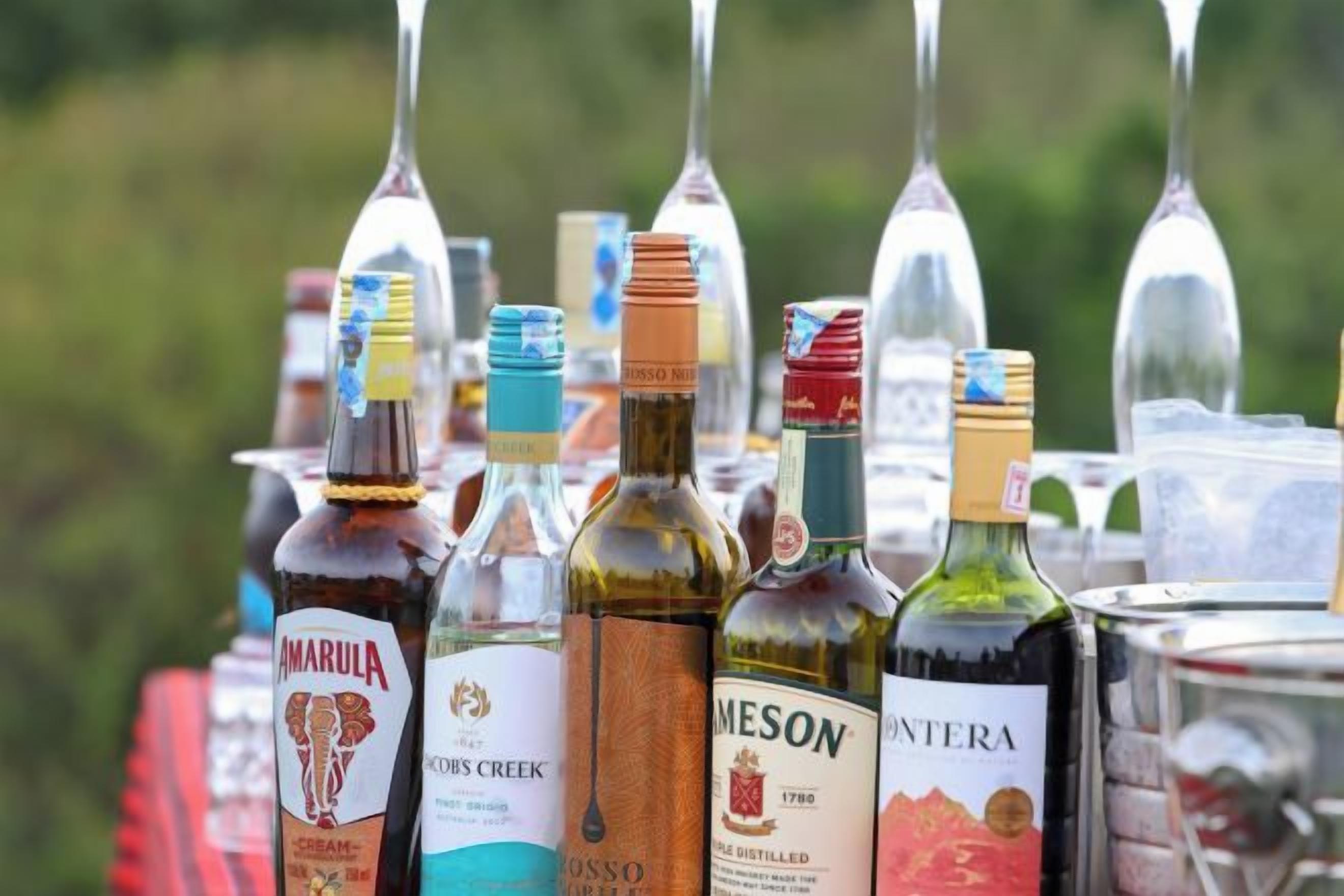 Várias garrafas de vinho com etiquetas, dispostas sobre uma superfície com fundo verde desfocado.