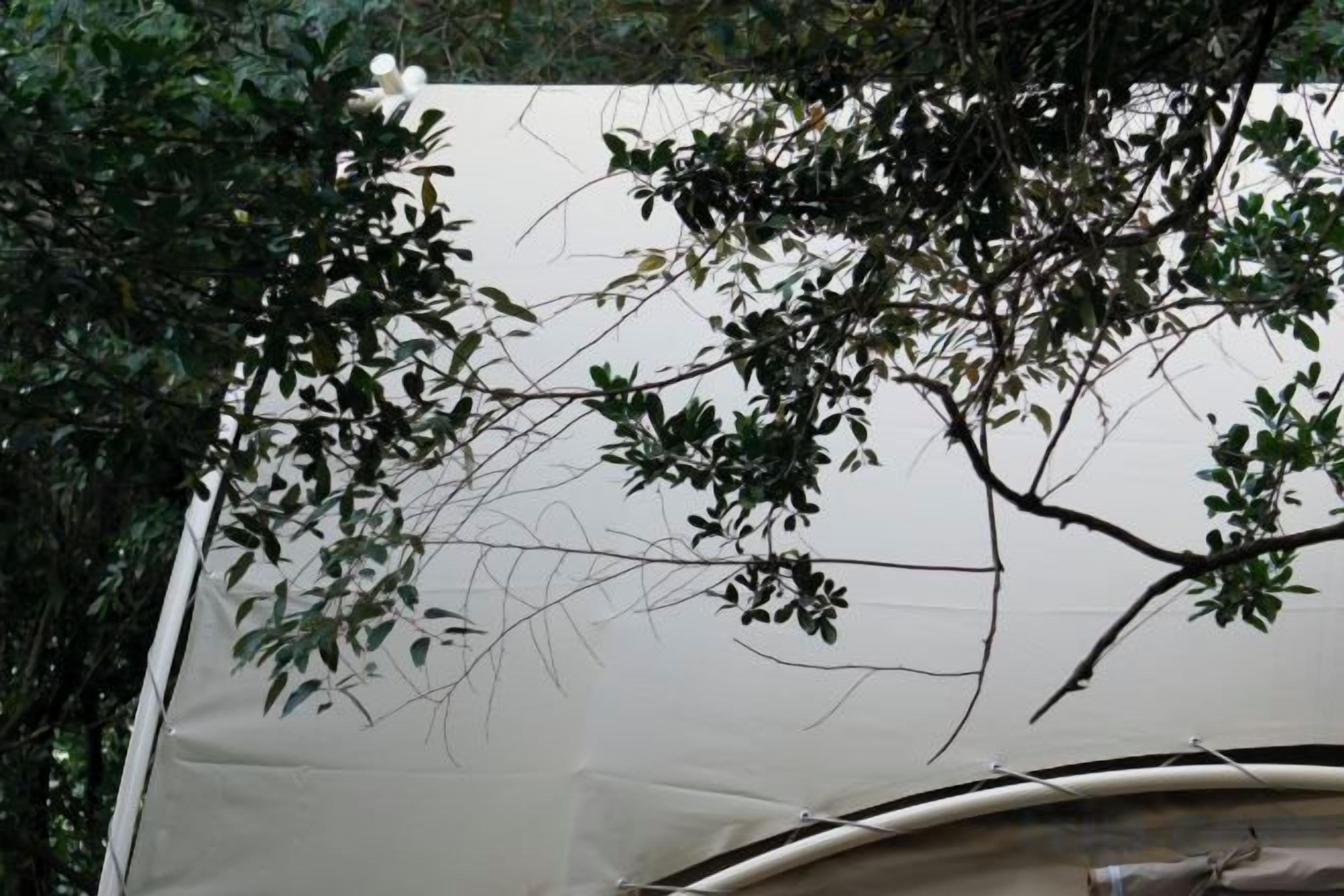 A tent-like structure with a curved roof, surrounded by dense foliage.
