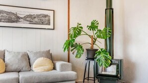Un salon avec un canapé, une table basse, un tableau encadré au mur et une grande plante.