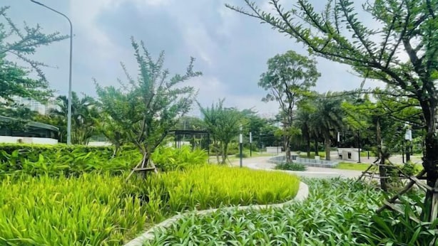 Un espace paysager aménagé en jardin, avec des allées, des plantes vertes et des arbres.