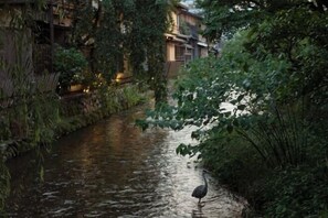 Udsigt fra overnatningsstedet