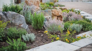 A garden with various plants and rocks. - Terra Hélios Suites & Studios (Trifylia)