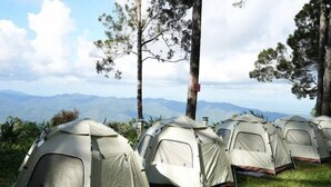 Varias tiendas de campaña alineadas en un césped con montañas al fondo.