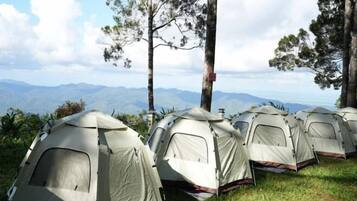 Pemandangan dari hartanah