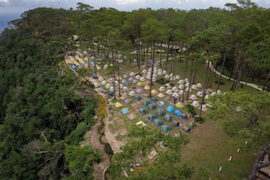 Een camping met tal van tenten die in rijen staan, omgeven door dicht bos.