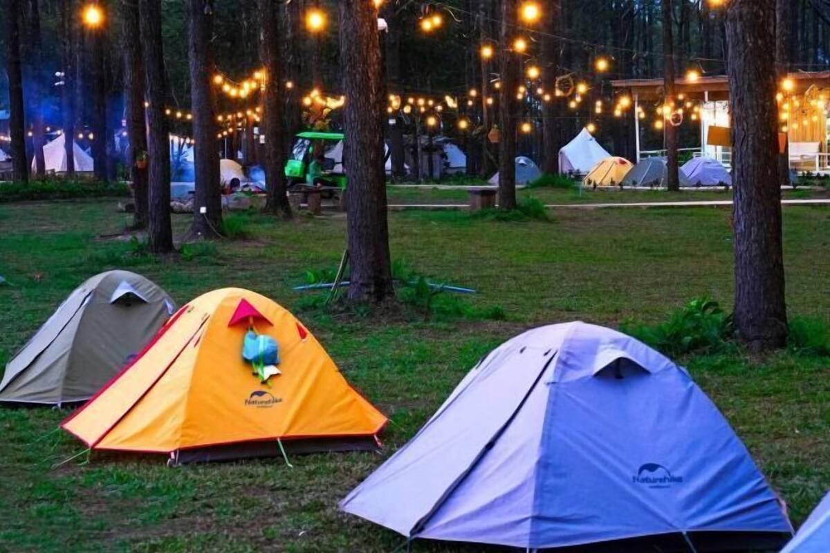 A campsite with tents, trees, and string lights.