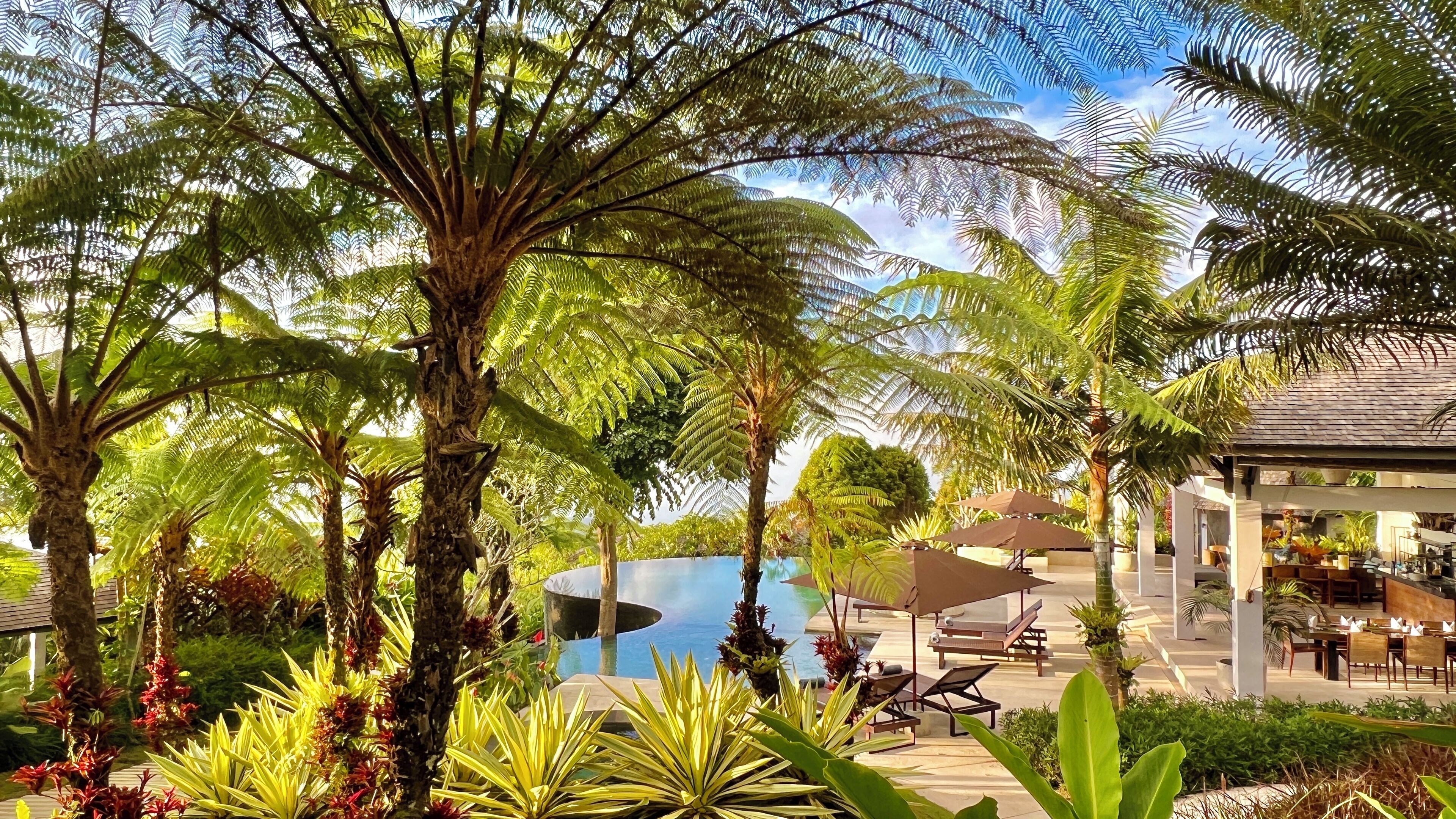 Zona de piscina con sillas de descanso y sombrillas, rodeada de plantas y árboles tropicales.