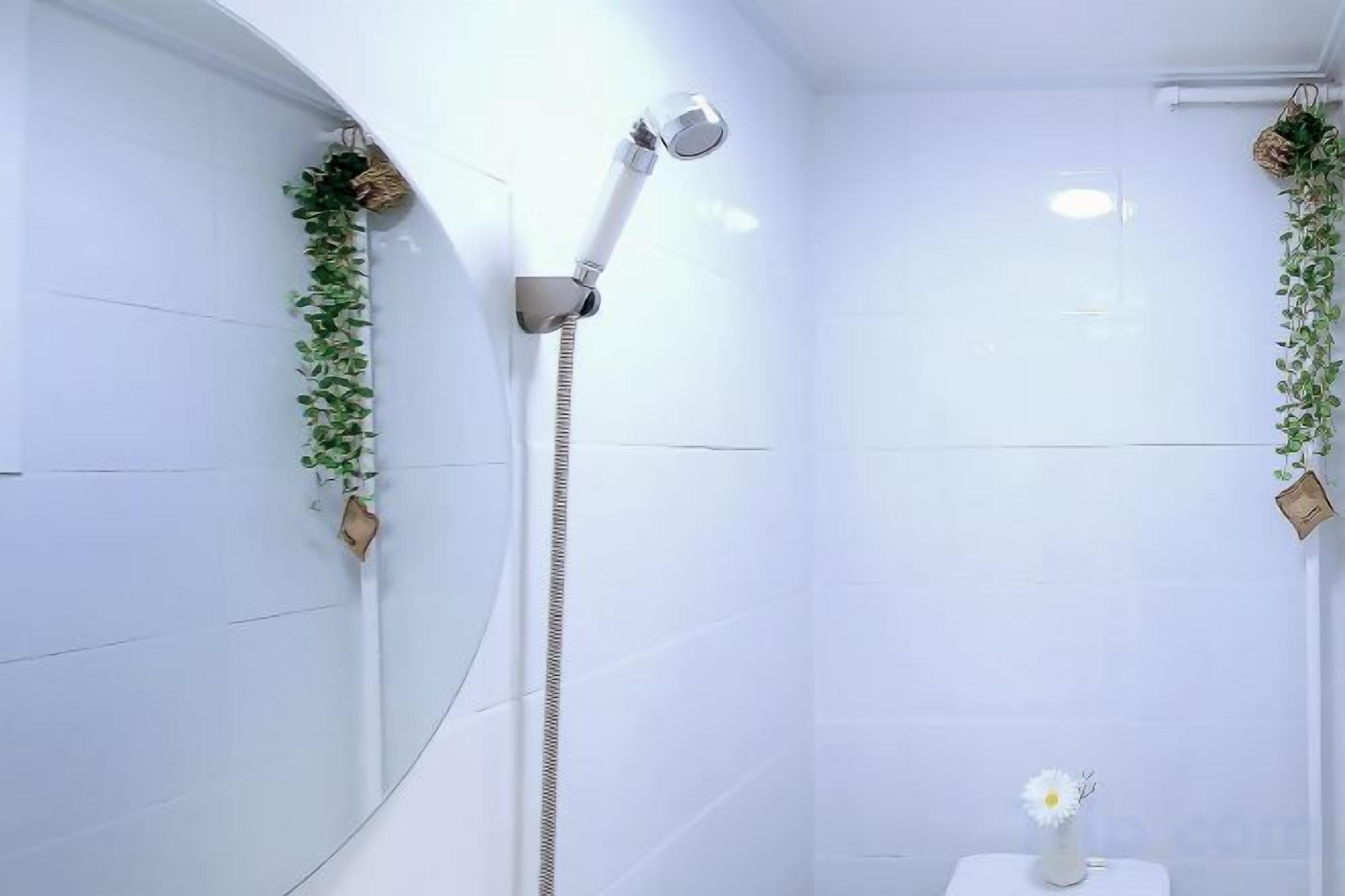 Casa de banho com chuveiro, sanita e uma pequena planta na parede.
