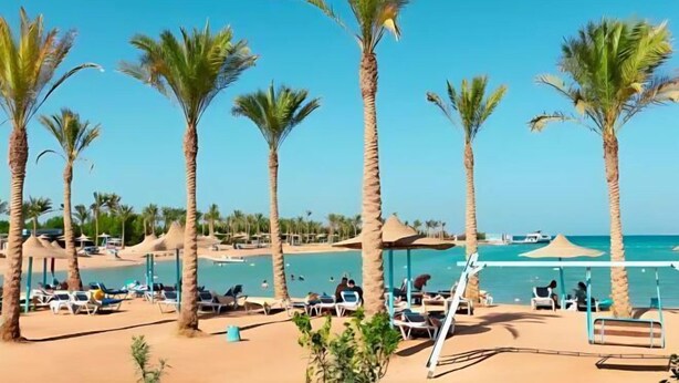 Una spiaggia con palme, lettini e area piscina.