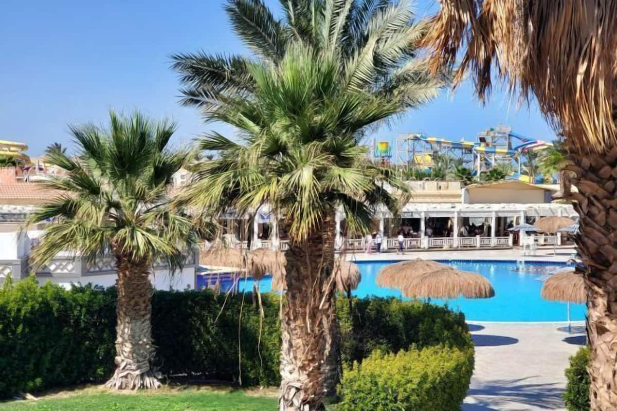 A pool area with palm trees, a clear blue pool, and a distant amusement park.