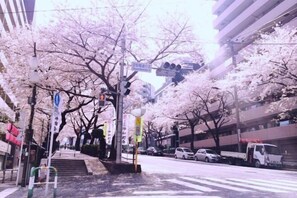 Miscellaneous - TokyoPan B&B (Tokyo)